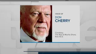'I meant every word:' Don Cherry says he's not willing to apologize for poppy comments