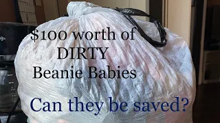 Cleaning Beanie Babies (cont’d from the dirty $100 eBay beanie baby lot)