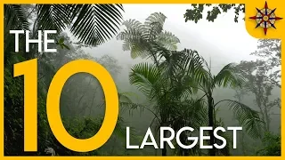 The 10 Largest Forests on Earth