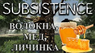 Subsistence. Древесная личинка. Где найти волокна? Мед