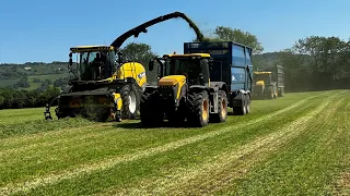 Silage 2023-New Holland-FR650 Cruiser and JCB Fastrac