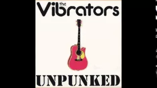 the vibrators unpunked