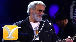 Yusuf Cat Stevens, Roadsinger, Festival de Viña 2015 HD 1080p