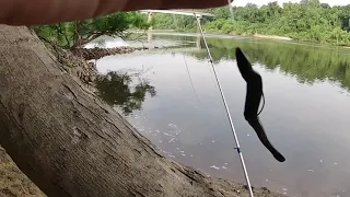 Alabama River bank trip....Had some good action!