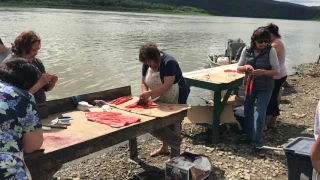 2017 Subsistence Sockeye Salmon Harvest