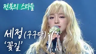 세정 - 꽃길 | 효자동살롱 - 전북의 스타들