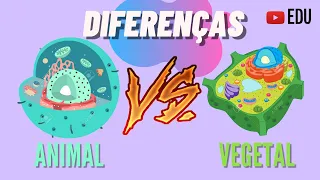 CÉLULA ANIMAL E CÉLULA VEGETAL - DIFERENÇAS | ANIMAÇÃO