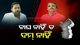 Pipili By Election Ground Zero : ବାଘ ନାହିଁ ତ, ମାହୋଲ୍ ଜମୁନି | Odisha Reporter
