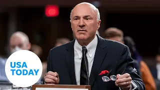 Kevin O'Leary grilled on FTX crypto exchange collapse | USA TODAY