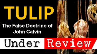 The False Doctrine of John Calvin | TULIP Under REVIEW