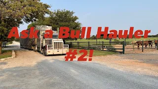 Ask a Bull Hauler #2!