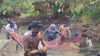 വരാലിന്റെ പെരുന്നാളാ ഈ ചാലിൽ🐬😱amazing fishing|kuttanadvillagefishing|keralafishing|malayalifishing|🐬