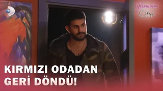 Didem, Her Şeye Rağmen Adnan Dedi!  - Kısmetse Olur 251. Bölüm