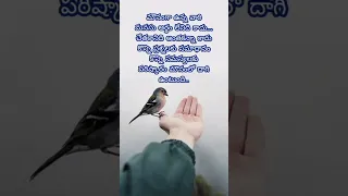 Inspirational quotes in telugu #viral #quotes #trending #motivation #shortvideo #life #shorts #short