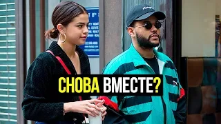 Селена Гомес и The Weeknd снова вместе?