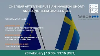 One year after the Russian invasion: short- and long-term challenges