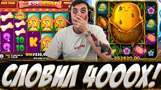 Выиграл 2 000 000! Лютые Заносы Злого В The Dog House, Royal Potato... Заносы недели!