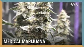 Medical Marijuana | VOA Connect