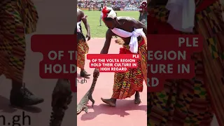 How a crocodile was conjured to greet President Akufo-Addo