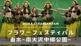 2024.4.27 フラワーフェスティバル由木（ティアレアペタヒ）