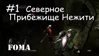 Северное Прибежище Нежити подробно Dark Souls 1