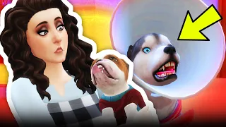 DO NOT Run a Doggy Daycare in The Sims...