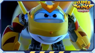 [SUPERWINGS5 Compilation] Golden Boy 2 | Super Pets | Superwings Full Episodes | Super Wings