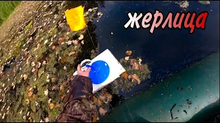 КАК ЛОВИТЬ ЩУК НА КРУЖКИ И ЖЕРЛИЦЫ? ЛОВЛЯ ЩУКИ НА ЖИВЦА ОСЕНЬЮ! ЖОР ЩУКИ!