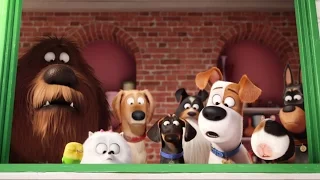 The Secret Life Of Pets (Official Trailer)