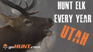 Hunt Elk Every Year: Utah and the goHUNT INSIDER