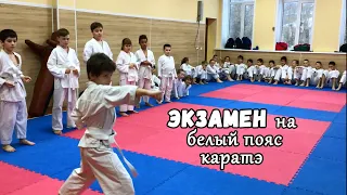 Экзамен на белый пояс в каратэ ВКФ