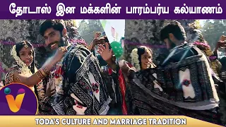 தோடாஸ் இன மக்களின் பாரம்பர்ய கல்யாணம் | TODA TRIBE - Toda's culture and marriage tradition in Ooty