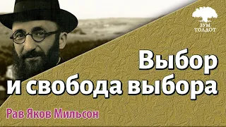 Выбор и свобода выбора. Рав Яков Мильсон