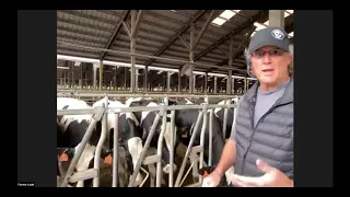 Pre K-2nd grade Virtual Farm Field Trip to Rickreall Dairy Cow Barn