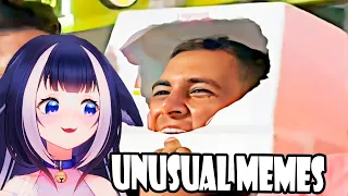 Shylily Vtuber React To Memes Compilation