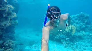 FREE DIVING IN THE RED SEA - Israel Vlog