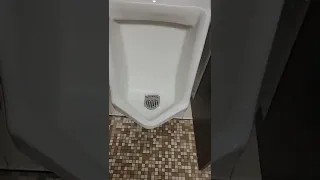 Urinal