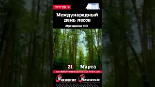 Сегодня, 21 марта,Международный день лесов