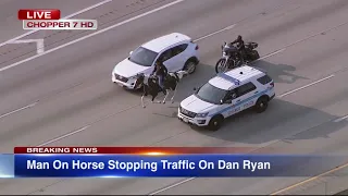 LIVE REPORT: Dreadhead Cowboy rides horse on Dan Ryan Expressway