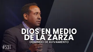 Dios en medio de la zarza - Pastor Juan Carlos Harrigan