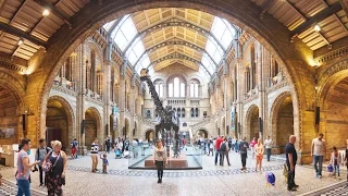 The Role of Museums in Today’s Societies