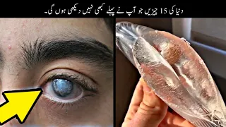 15 Things You Never Seen Before | دنیا کی وہ چیزیں جو آپ نے نہیں دیکھی ہوں گی | Haider Tv