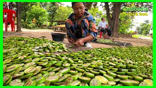 KOH PEN Tour! Beautiful Village Along Mekong River! Exploring Bee Farm! Enjoy Fresh Fruits On Island