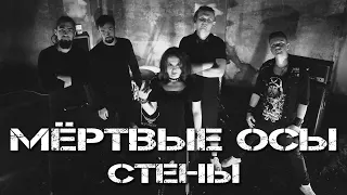 Мёртвые Осы - Стены