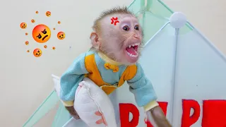 Monkey Pupu protects and prevents baby Nguyen from taking his pillow.