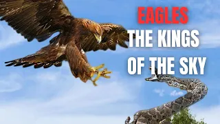 Eagles: The Kings of Eagles: The Kings of the Sky | Free Documentary