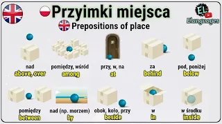 Przyimki miejsca po angielsku NA W POD PRZY ZA - Prepositions of place in English