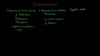 Causes of Schizophrenia