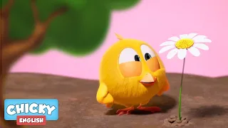 Where's Chicky? Funny Chicky 2020 | THE GARDEN | Chicky Cartoon in English for Kids