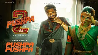 Pushpa 2 :The Rule Movie | Pushpa Pushpa Song | Pushpa 2 movie Update And Grand Release